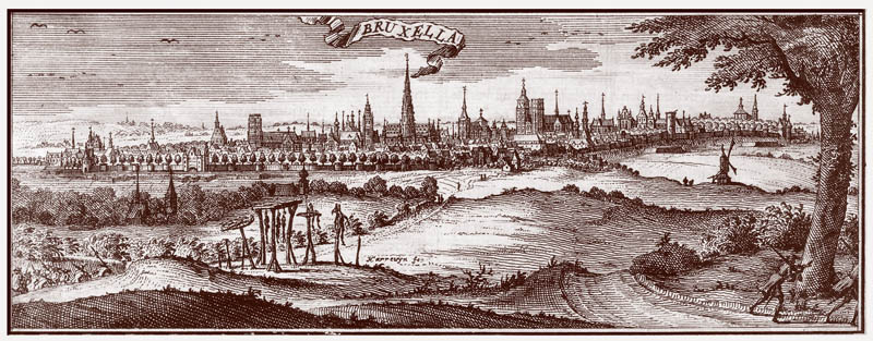 Gezicht op Brussel 1708 Harrewijn